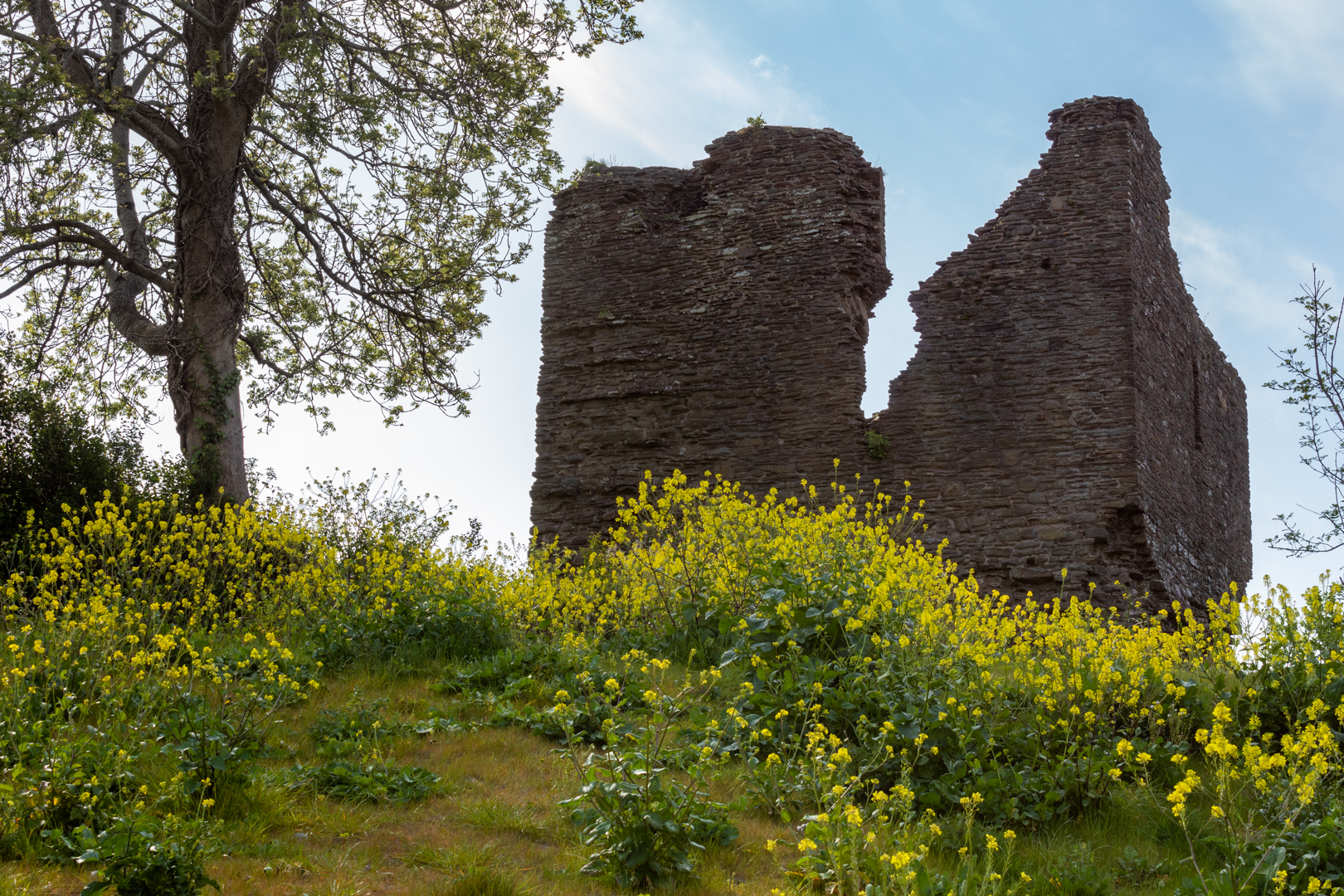 Lougher Castle  on the north of the gower coast