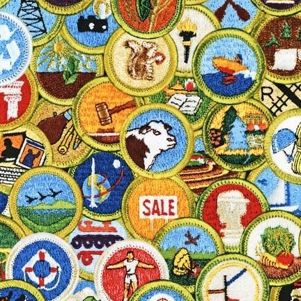 The Boy Scout Blog: Boy Scouts of America Merit Badge List