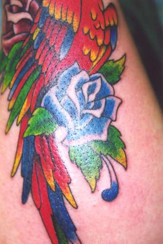 Lotus Flower Tattoos tattoo lotus