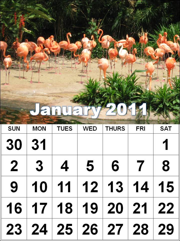 2011 Calendar On One Page. 2011 calendar printable one