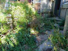 Toronto High Park Back Yard Fall Cleanup Before by Paul Jung Gardening Services--a Toronto Organic Gardening Company