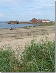 nb harbour