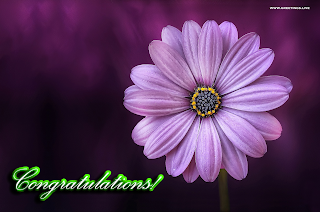 congratulations images wishes students flower greetings