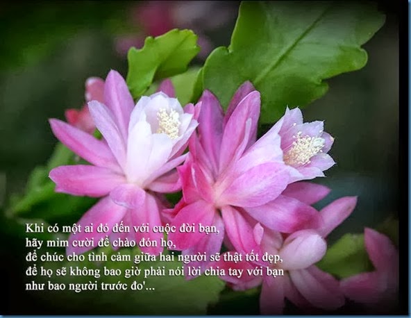 clip_image003