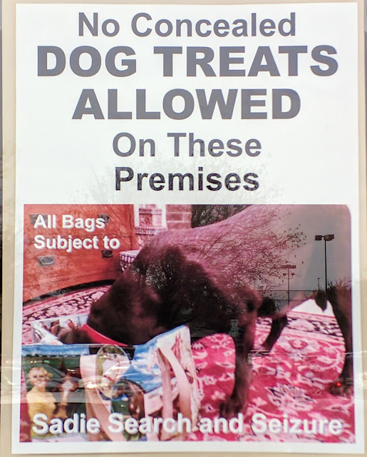 Dog treat sign at Bernina quilt shop, Plano TX