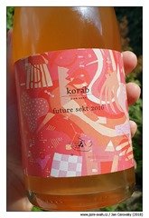 korab-future-sekt-2016