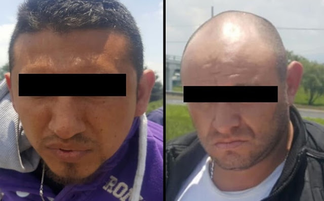 Tratamientos, alopecia, injertos, 