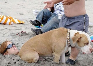 Funny beach images