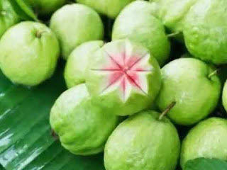 jambu-sumber vitamin C