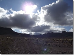 DSCF0468