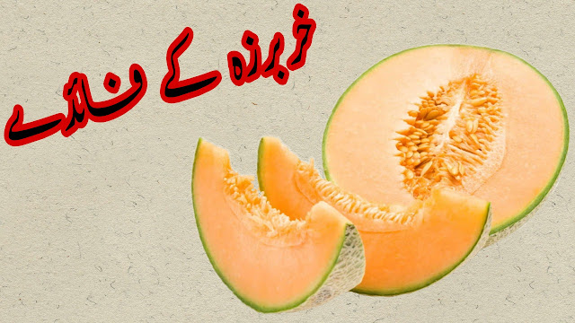 Kharbooza ke fayde  Melon of benefit