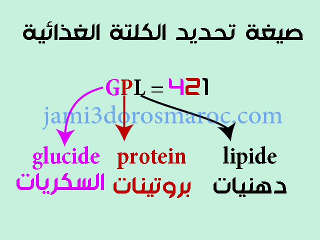 درس الكلتات الغذائية للسنة الثالثة اعدادي