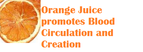 Health benefits Orange Juice promotes Blood Circulation and Creation