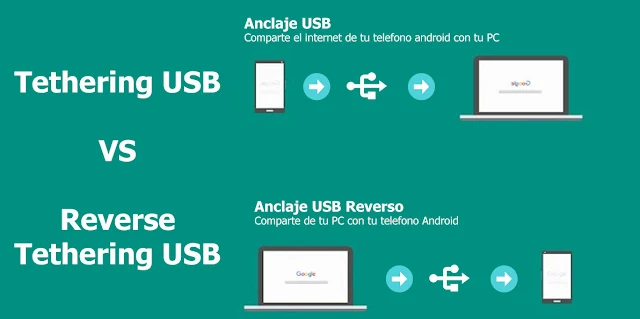 anclaje usb reverso