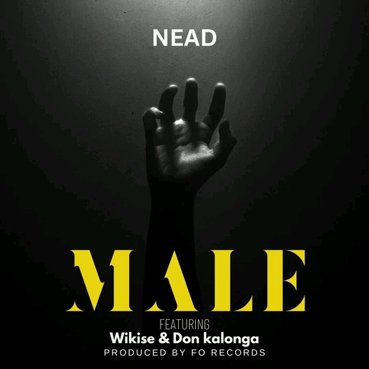 Nead- Male  ft wikise x don Kalonga || Prod by FO Records.