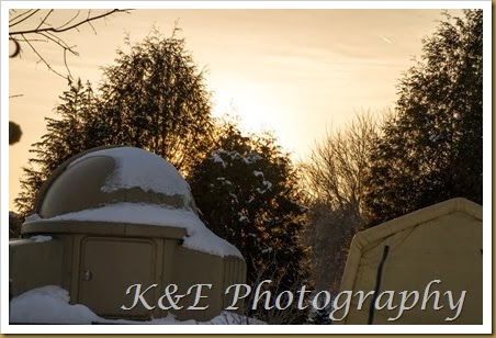 February 2014 (5 of 8)-3