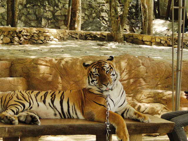 Baluarte Zoo