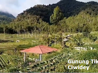 Profil Gunung Tikukur, Ciwidey (1960 mdpl)