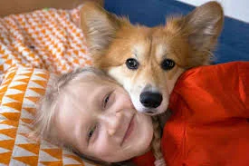 corgi and kids