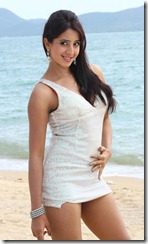 Actress Sanjana in Jagan Nirdoshi Hot Stills