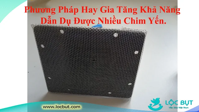 Giải Pháp Lần Đầu Tiên Áp Dụng Tại Việt Nam - Lắp Lưới Vào Loa Dẫn Dụ Chim Yến.