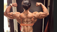 Approaches to Obtaining a Bodybuilders Physique (Part 1)