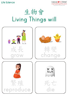 認識生物和非生物 Learning Living and Nonliving 生命週期 Life Cycle 認識胎生和卵生 Learning Viviparous and Oviparous