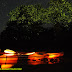 Bohol Firefly Kayaking Tour