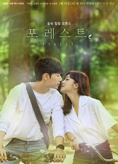 Review Forest Korean Drama (Starring Park Hae Jin dan Jo Bo Ah)