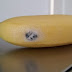 Если увидите эти «симптомы» на бананах — срочно сообщите о них работникам магазина, и ни в коем случае не покупайте!