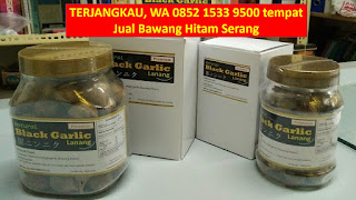 jual bawang hitam, agen bawang hitam, distributor bawang hitam, grosir bawang hitam, tempat jual bawang hitam, supplier bawang hitam, yang jual bawang hitam, toko penjual bawang hitam, produsen bawang hitam, harga bawang hitam