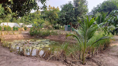 Gartenteich in Thailand