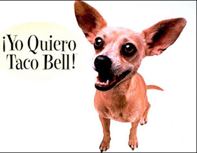 taco bell dog. quot;The famous Taco Bell