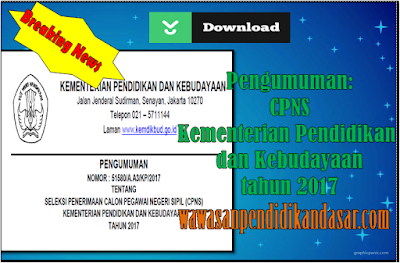 Formasi tes CPNS Kemendikbud tahun 2017