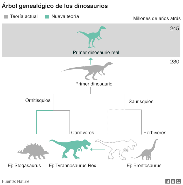 Así queda la clasificación de los dinosaurios