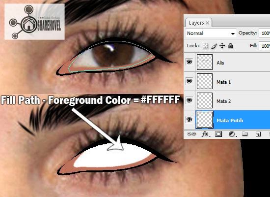 cara membuat vector mata menggunakan photoshop - tutorial membuat vector di photoshop - membuat foto menjadi kartun dengan photoshop