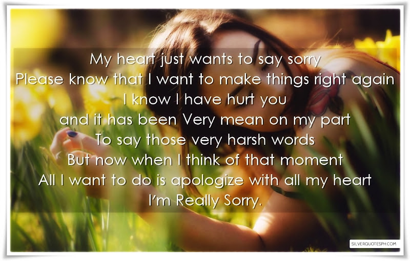 I'm Really Sorry - Silver Quotes