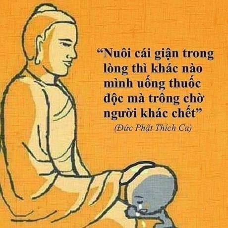 "NUÔI CÁI GIẬN TRONG LÒNG THÌ KHÁC NÀO MÌNH UỐNG THUỐC ĐỘC MÀ TRÔNG CHỜ NGƯỜI KHÁC CHẾT"