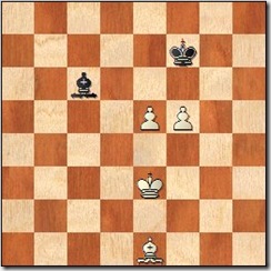 opposite_bishop_91