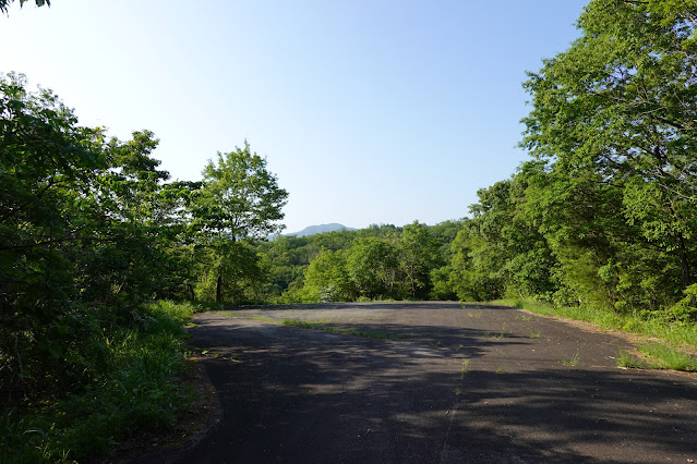 鳥取県西伯郡南部町中 林道上中谷線