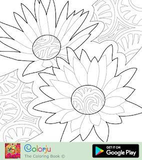 Free two tropical exotic water lily flowers coloring pages