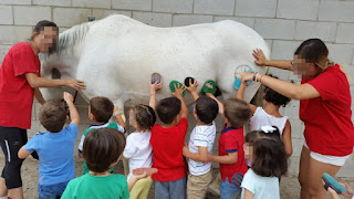 Niños de espalda poniéndo en práctica todo lo aprendido sobre cepillos.