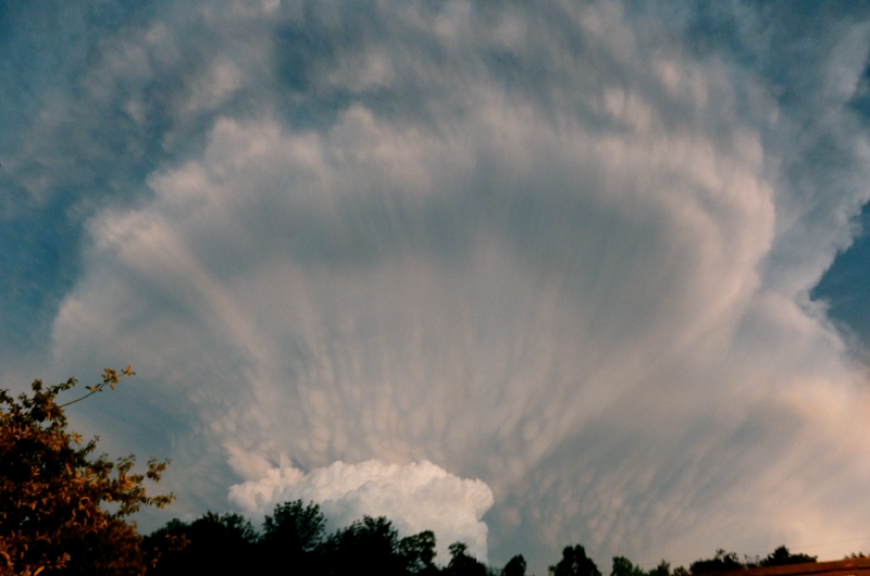 cloud after a storm, sea shell cloud