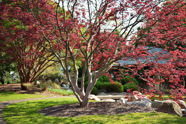 Shiojiri Garden