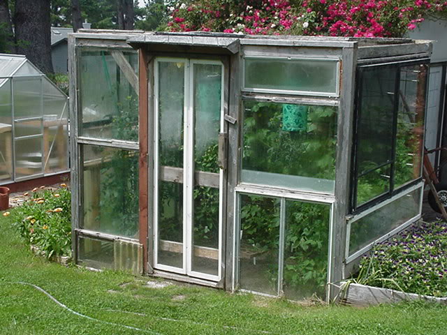 Homesteading Pagan Style: Greenhouses made from old windows.