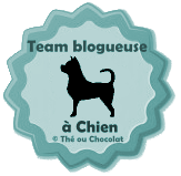 team blogueuse à Chien