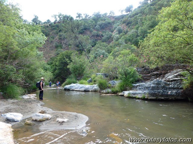 Benalauria - Río Genal