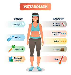 how to boost metabolism