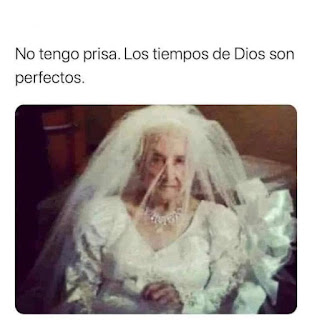 #memes #memesespañol #memesgraciosos #memes😂 #memesdaily #memesbrasil #memetime #chistes #tiktok #memeslatinos #humor #comedia #chistesenespañol #meme #memesdaily #memesespañoles