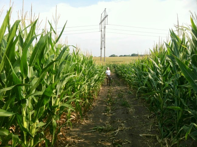 HikingthroughFields%252526Pastures-4-2013-08-22-22-20.jpg